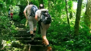 CUC PHUONG NATIONAL PARK: TREKKING AND IMMERSIVE NATURE EXPERIENCES