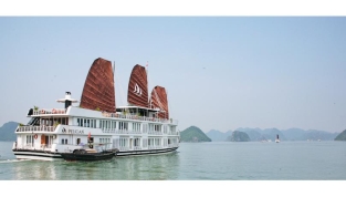 pelicanhalongcruise1