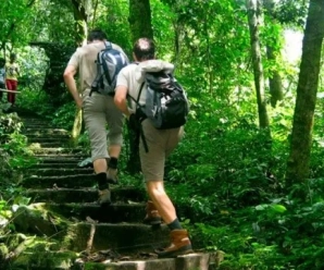 CUC PHUONG NATIONAL PARK: TREKKING AND IMMERSIVE NATURE EXPERIENCES