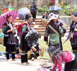 HANOI - TRAIN TO LAOCAI - SAPA 05 DAYS