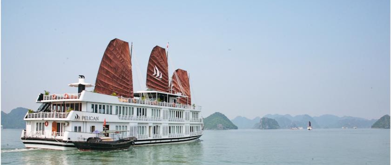 pelicanhalongcruise1