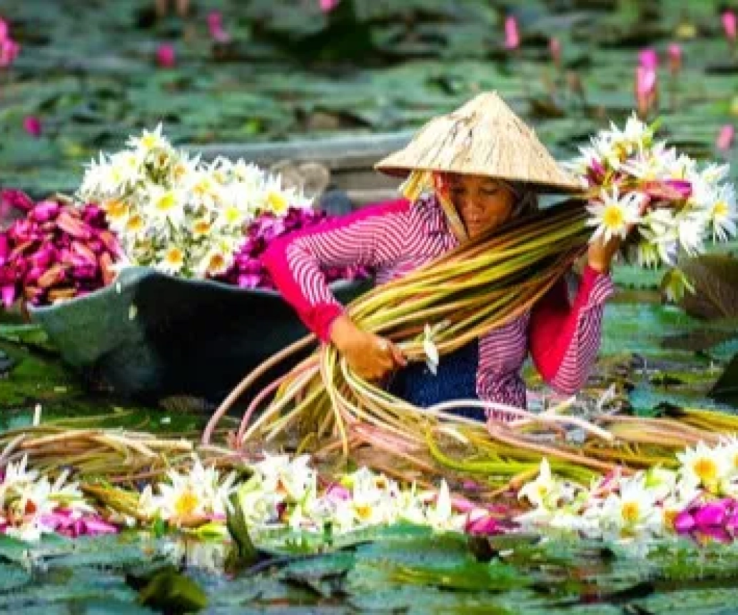 Beyond Hanoi and Saigon: Why the Mekong Delta Should Be on Every Traveler's List