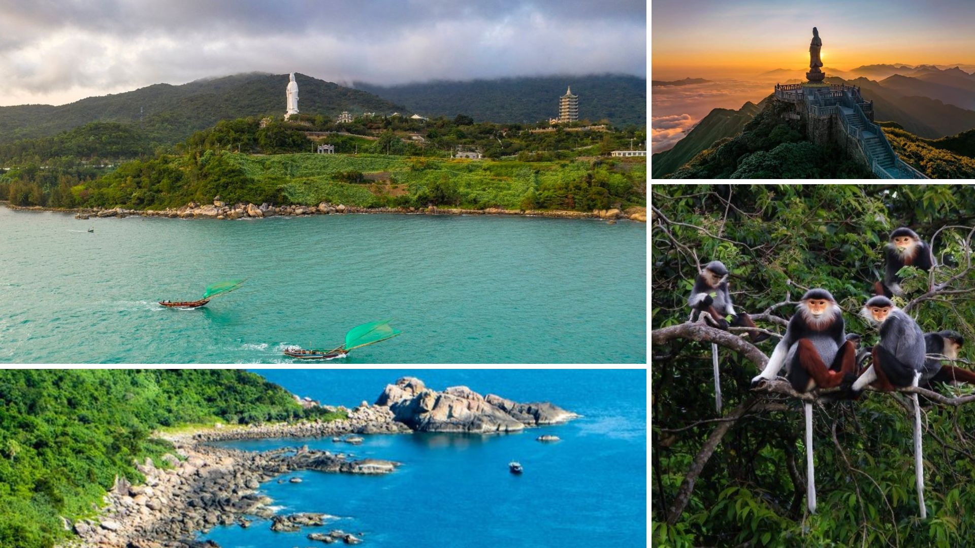 Son Tra Peninsula – The Green Side of Da Nang