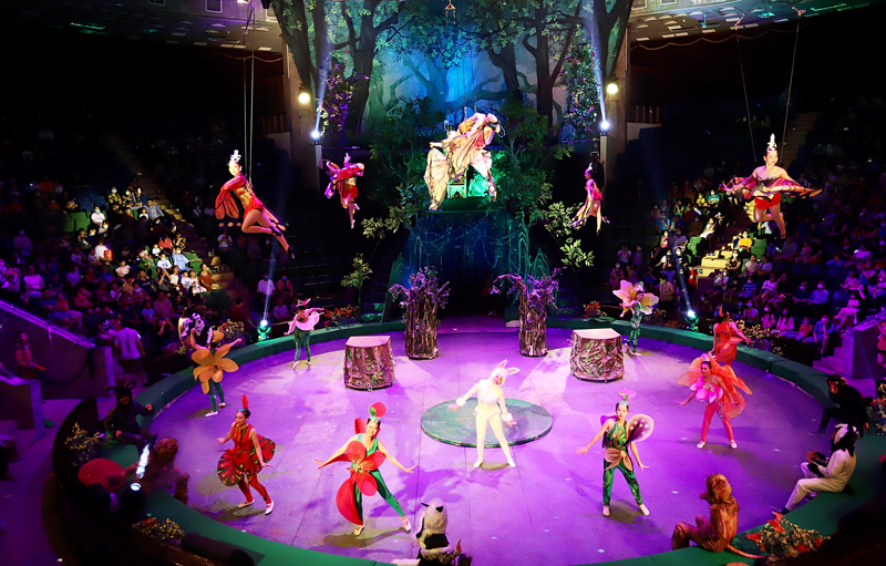 Experiencing Vietnam Circus: A Cultural Show Travelers Should Not Miss