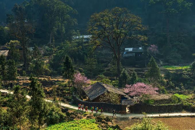 Best Things to Do at Dong Van Karst Plateau