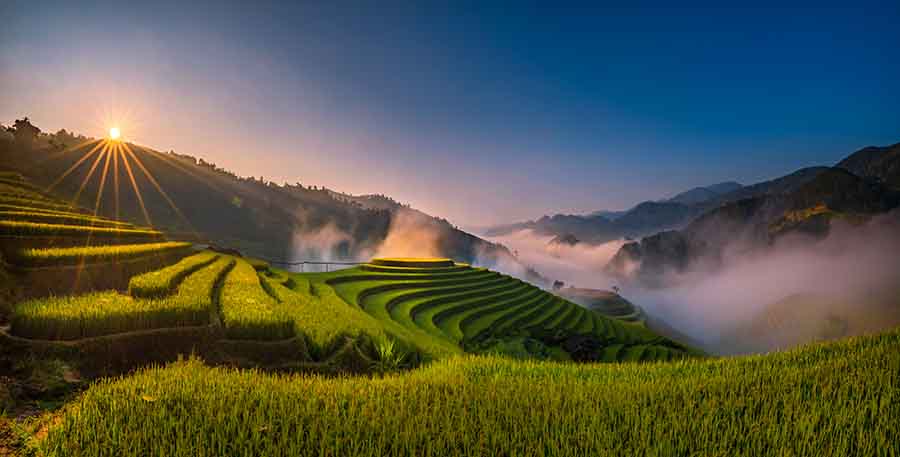 Mu Cang Chai Rice Harvest Season: Where Mountains Turn Gold