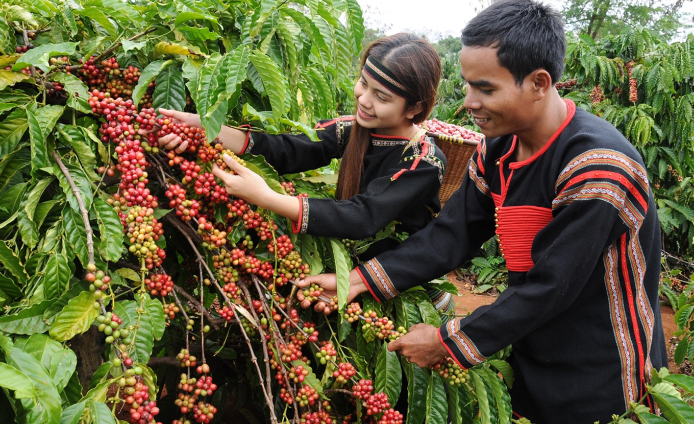 Vietnam’s Coffee Capital, Where Every Journey Begins with a Cup
