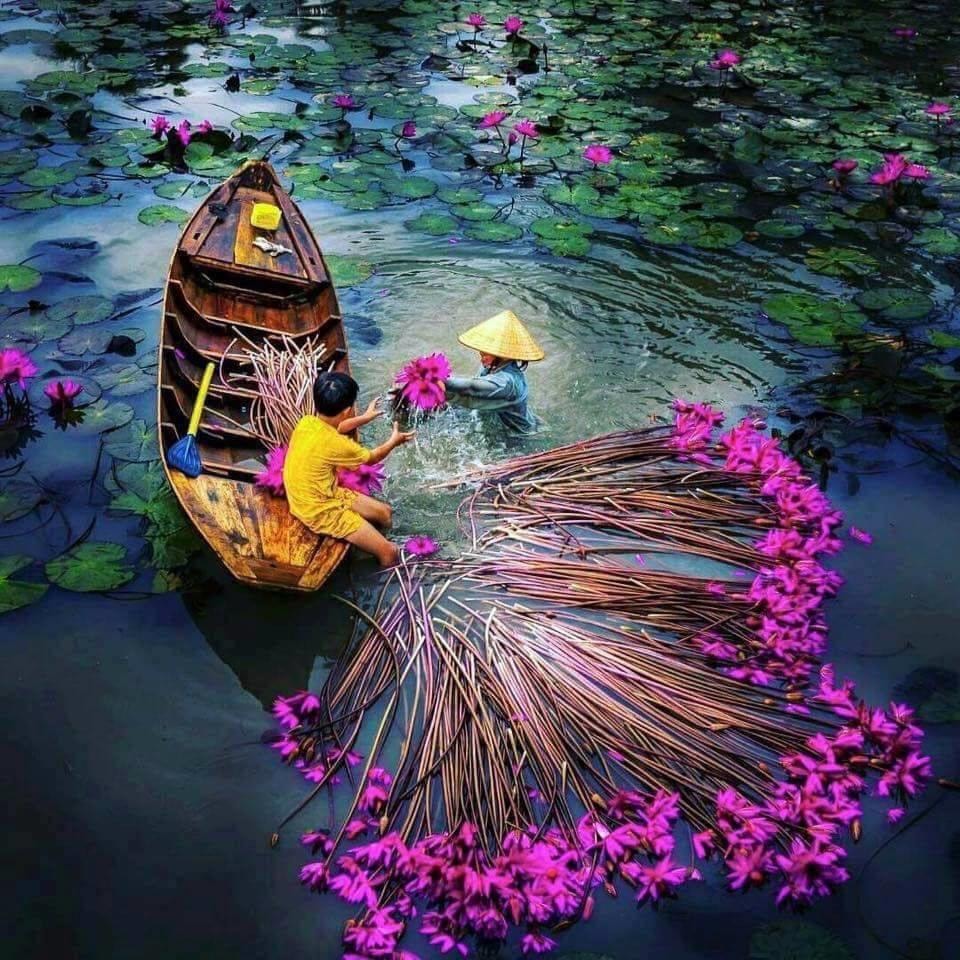 Meet the Traditional Ba Lá Boat