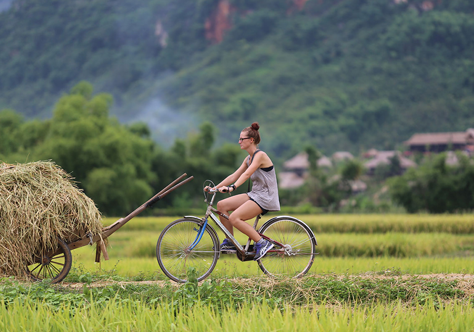 Combine Independent Travel and Guided Tour