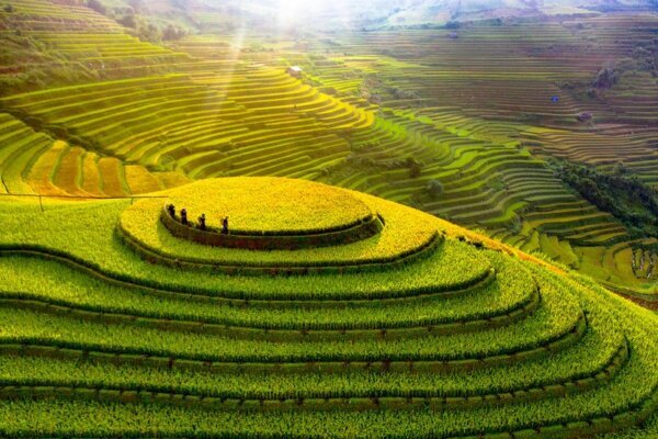 Northwest Vietnam This Rainy Season