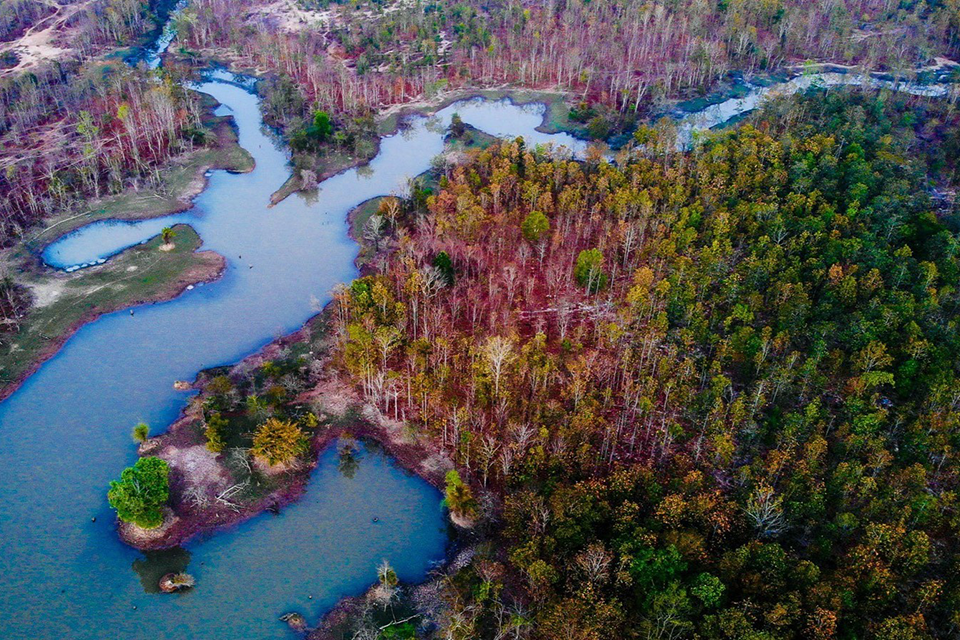 Yok Don National Park