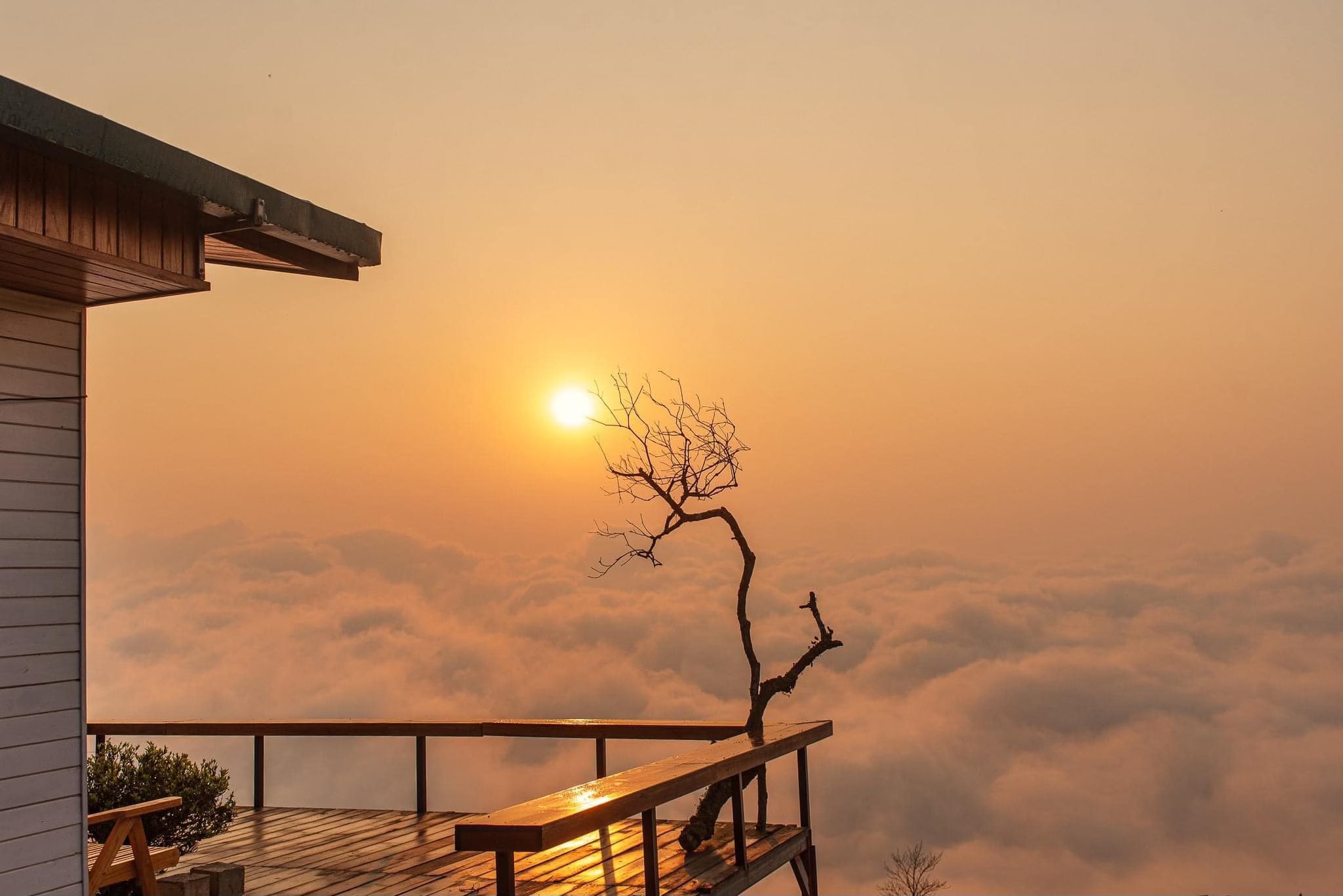 Ta Xua: The Legendary Sea of Clouds