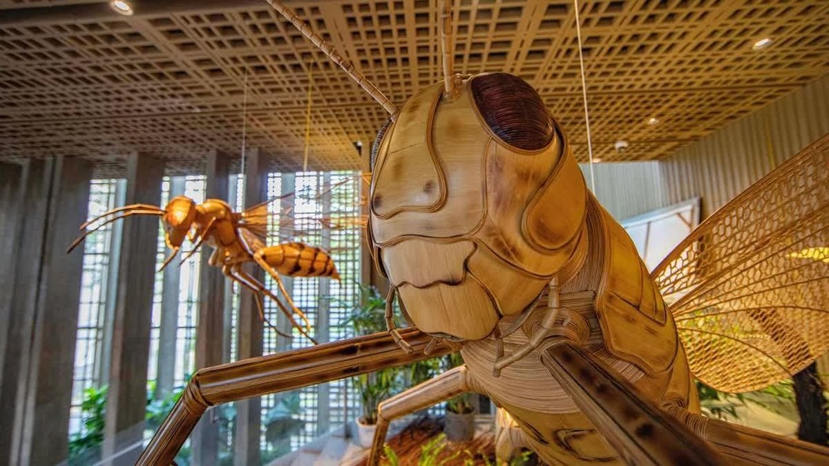 Where Art Meets Heritage: DACC 2026