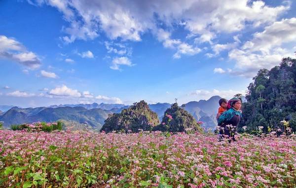 Vietnam in November: Mountains, Flowers and Cooler Days
