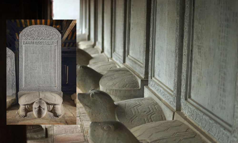 The Famous Stone Turtles and Doctor Steles